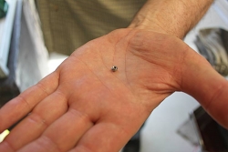 Ets. VOIRIN -  Ets. VOIRIN -